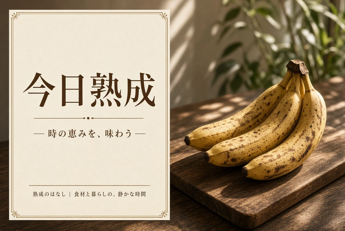 今日熟成栏目配图